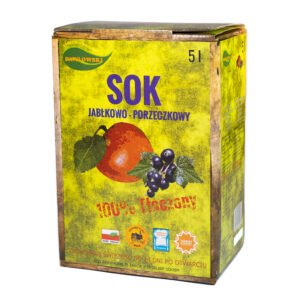 Home sok jabłko porzeczka czarna 5l